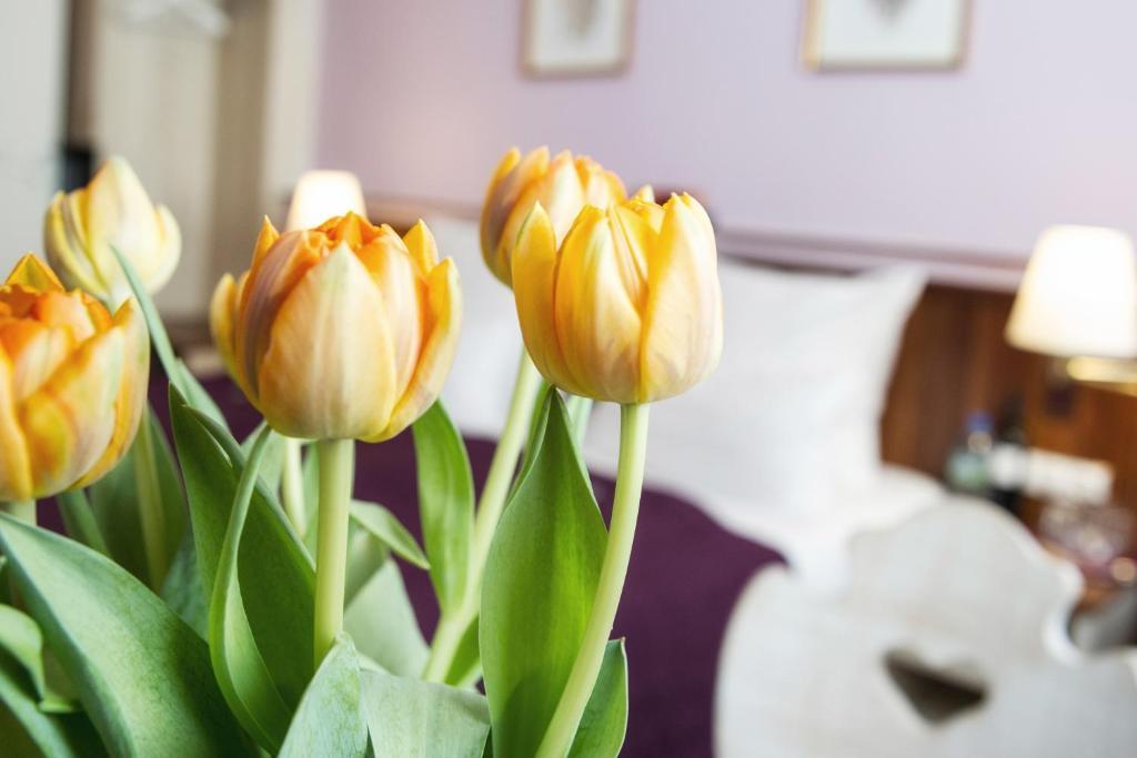 Hotel Elch Nürnberg Dış mekan fotoğraf